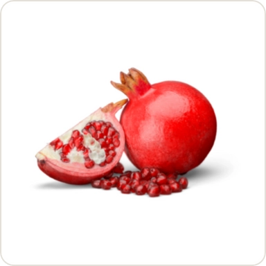 Pomegranate ( దానిమ్మ)