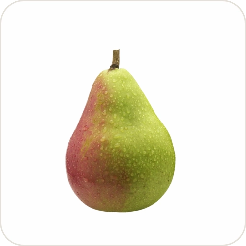 Pear Cheeky- Cape Rose(Pieces)