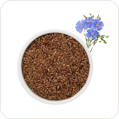 Flax Seeds (అవిసె గింజలు )