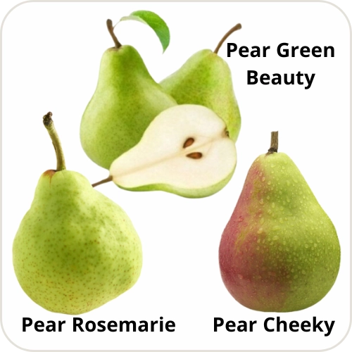 Triple Pear Combo (Imported)